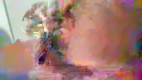 Teddy online show from December 17, 2024, 4:53 pm