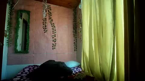 paula online show from June 3, 2026, 6:46 pm