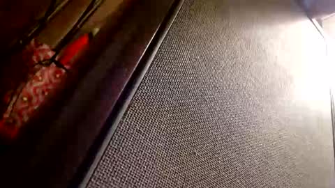 cameonu online show from January 12, 2026, 5:56 am