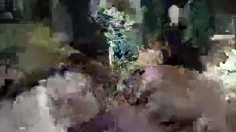 CameronRays online show from April 25, 2026, 11:57 pm