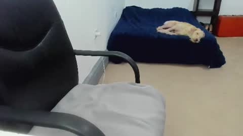 Snapshot of camila_berk chatting on July 10, 2026, 8:33 pm Cami online show from July 10, 2026, 8:33 pm