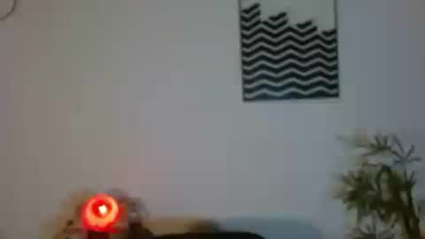Snapshot of camilaparrisx chatting on June 24, 2026, 2:32 am camilaparrisx online show from June 24, 2026, 2:32 am