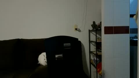 Snapshot of camiloex chatting on October 15, 2025, 9:26 pm Camilo online show from October 15, 2025, 9:26 pm