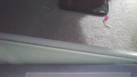 cammyman6900 online show from September 11, 2025, 4:01 am