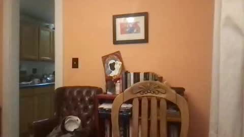 camunity online show from March 29, 2026, 3:39 am