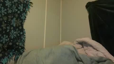 Snapshot of candianman86 chatting on May 29, 2026, 11:30 am candianman86 online show from May 29, 2026, 11:30 am