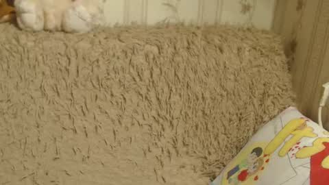 say meow and send tips  online show from January 19, 2025, 3:53 pm