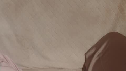 say meow and send tip  online show from March 31, 2026, 6:41 pm