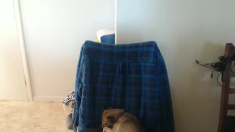 capt5105 online show from March 5, 2026, 3:13 am