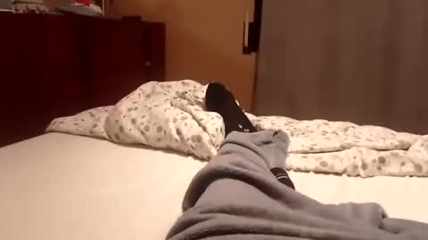 carlitito1 online show from October 6, 2025, 7:17 am