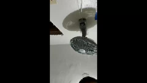 carlos201648 online show from February 2, 2026, 2:38 pm