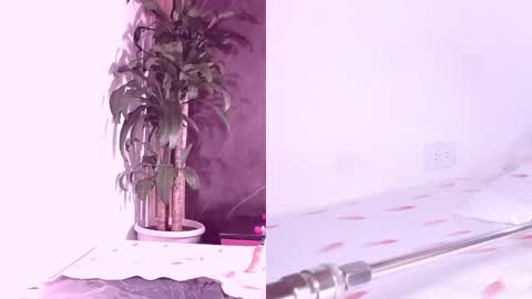 Carol online show from April 7, 2026, 11:21 am