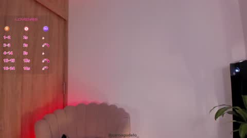 Snapshot of carolinna_ chatting on May 29, 2026, 12:30 am carolinna_ online show from May 29, 2026, 12:30 am