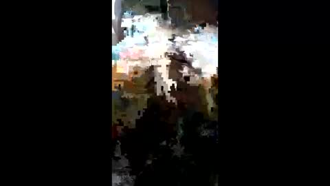 carrilloeverardo219 online show from March 23, 2026, 11:31 pm