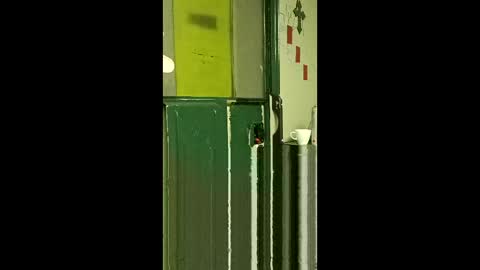 carrilloeverardo219 online show from March 25, 2026, 7:58 am