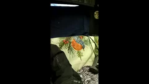 carrilloeverardo219 online show from March 28, 2026, 12:54 am