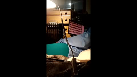 caryb online show from February 24, 2026, 8:56 am