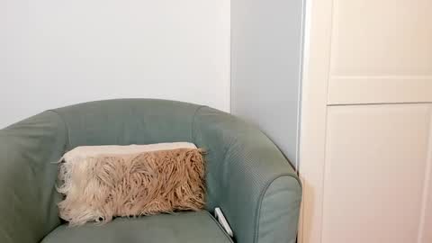 cassiecute - onlyfans account online show from October 27, 2025, 11:03 am