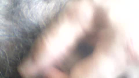 Snapshot of castells chatting on June 24, 2026, 2:38 pm castells online show from June 24, 2026, 2:38 pm