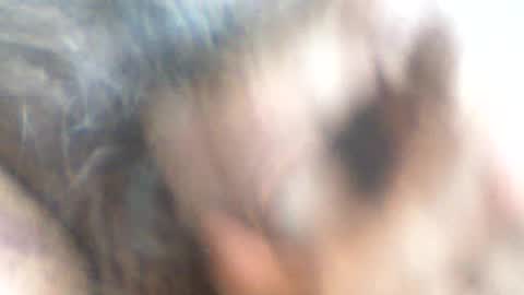 Snapshot of castells chatting on June 26, 2026, 3:49 pm castells online show from June 26, 2026, 3:49 pm