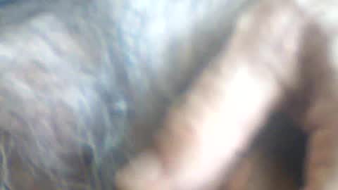 Snapshot of castells chatting on July 2, 2026, 2:56 pm castells online show from July 2, 2026, 2:56 pm