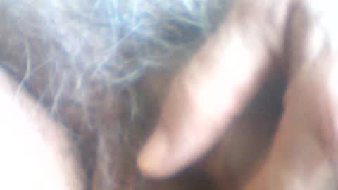 Snapshot of castells chatting on July 7, 2026, 2:43 pm castells online show from July 7, 2026, 2:43 pm