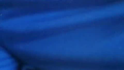 Snapshot of castells chatting on July 29, 2026, 3:21 pm castells online show from July 29, 2026, 3:21 pm