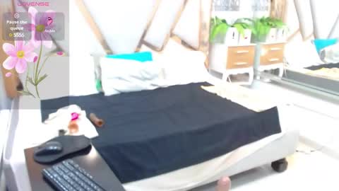 Cata online show from December 28, 2024, 12:35 pm