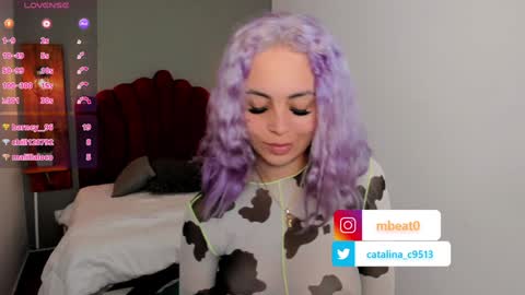 Snapshot of catalina_clark chatting on January 20, 2025, 3:39 pm Catalina online show from January 20, 2025, 3:39 pm