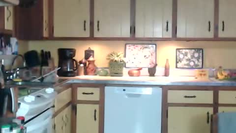 CATALYSTIC online show from December 31, 2024, 11:20 am