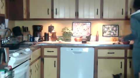 CATALYSTIC online show from January 13, 2025, 9:41 am