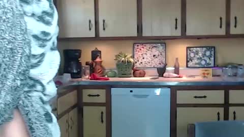 CATALYSTIC online show from February 4, 2025, 2:32 pm