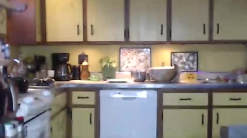 CATALYSTIC online show from February 16, 2025, 3:16 pm