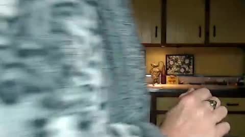 CATALYSTIC online show from September 8, 2025, 10:31 pm