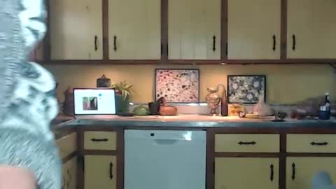 CATALYSTIC online show from September 14, 2025, 2:49 pm