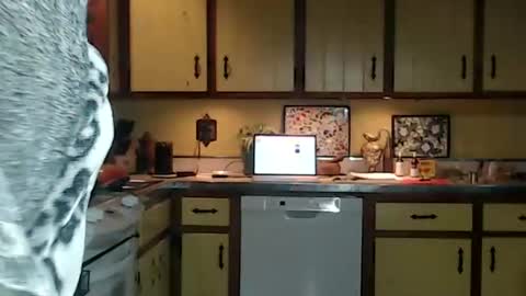 CATALYSTIC online show from October 26, 2025, 11:27 am