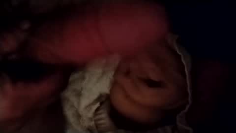 catdaddy179057 online show from February 24, 2026, 11:30 am