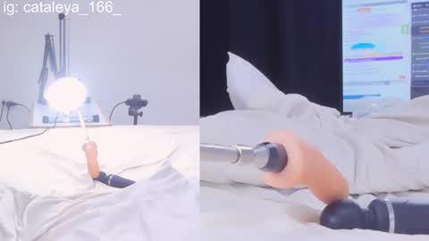 Cattleya Annie  online show from February 21, 2025, 2:06 am