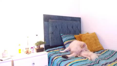 Cedrixx10 online show from December 16, 2025, 9:31 pm