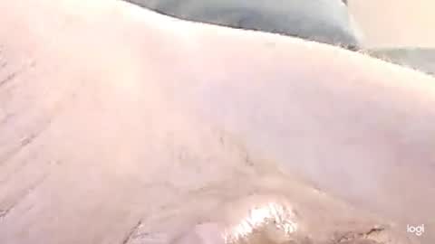 cfnmkinky28 online show from December 17, 2024, 9:07 am