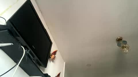Snapshot of chanelfancy chatting on April 26, 2026, 1:09 pm chanelfancy online show from April 26, 2026, 1:09 pm