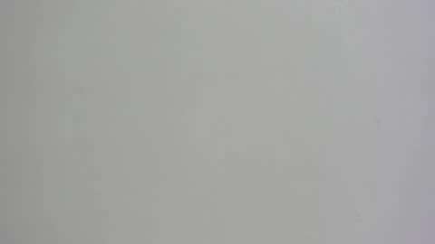 Channel online show from November 1, 2025, 6:15 am