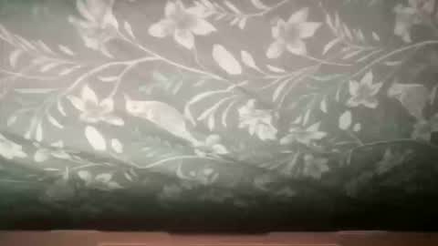 channelll31 online show from December 2, 2025, 4:24 pm