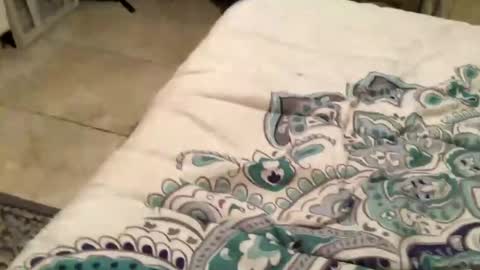 Snapshot of charliebroun chatting on February 18, 2025, 6:15 am charliebroun online show from February 18, 2025, 6:15 am