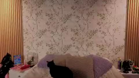 Snapshot of charlote__miller chatting on July 14, 2026, 12:00 pm You honey online show from July 14, 2026, 12:00 pm