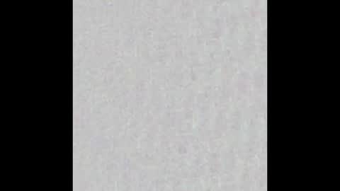 Charlotte online show from March 8, 2025, 3:13 pm