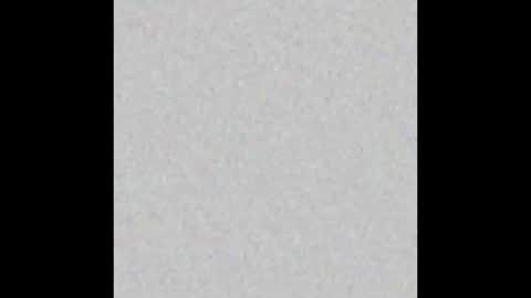 Charlotte online show from March 12, 2025, 2:56 pm