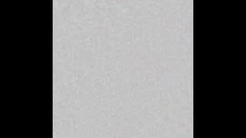 Charlotte online show from January 12, 2026, 8:03 pm