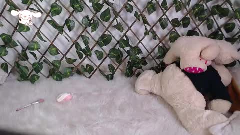 charly_evans60 online show from February 24, 2025, 9:52 pm