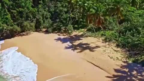 Sam online show from December 17, 2024, 4:21 pm